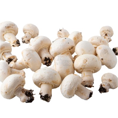 Шампиньоны свежие 500 г - купить в Хасауте-Греческом